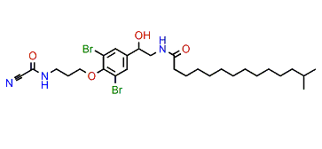 12-Hydroxysubereamide C